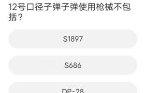 和平精英聚道城11周年答題是什么