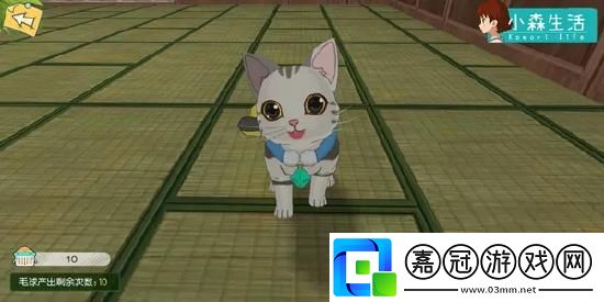 小森生活熊本熊在哪里