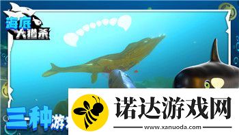 影子武士2字幕的樣式——如何影響玩家的游戲體驗與視覺享受