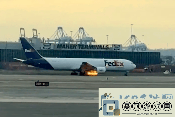 美國一波音767飛機撞鳥-發動機空中噴火