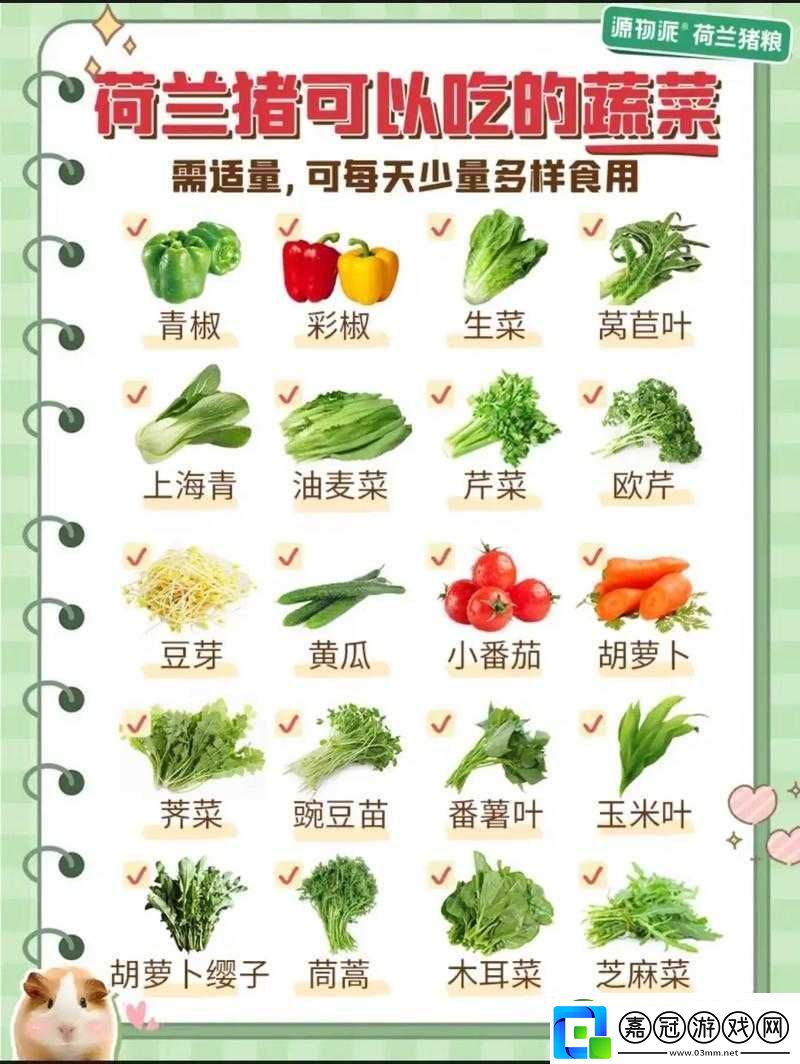 荷蘭人最忌諱什么-是食物、物品還是行為