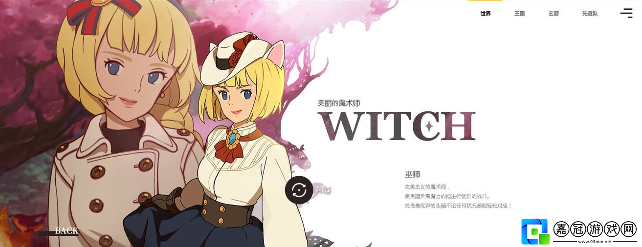 二之國交錯世界全職業