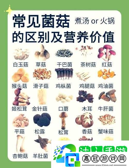 江湖悠悠菌菇木耳食譜-菌菇高手必收的開胃解饞小技巧