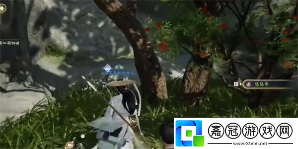 射雕手游棗子飴怎么收集