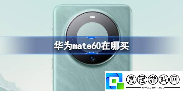 華為mate60在哪買-華為mate60購買方法