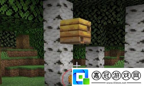 我的世界怎么養(yǎng)蜜蜂-養(yǎng)殖蜜蜂方法介紹