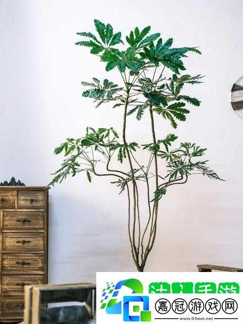 原神孔雀木獲取攻略揭秘！輕松拿到這朵絢麗精靈花