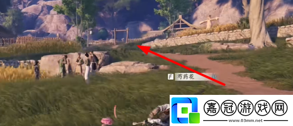 燕云十六聲貓貓石頭坑位置在哪