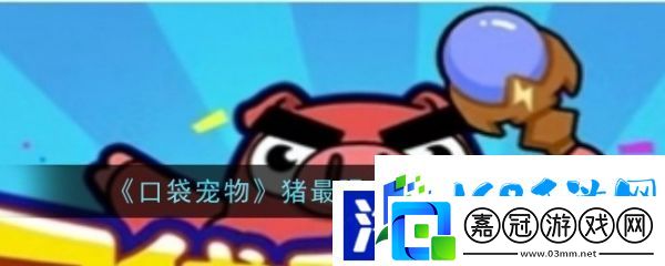 口袋寵物豬裝備怎么搭配-寶石鑲嵌攻略
