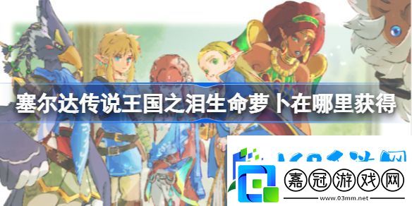 塞爾達(dá)傳說王國之淚生命蘿卜在哪里獲得-生命蘿卜獲得方法