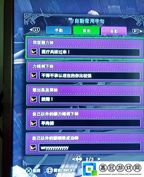 定型文是什么梗