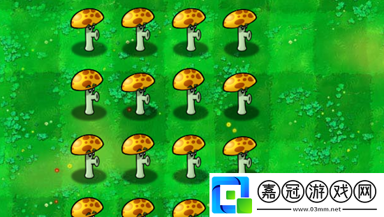 植物大戰僵尸雜交版陽光膽小菇介紹