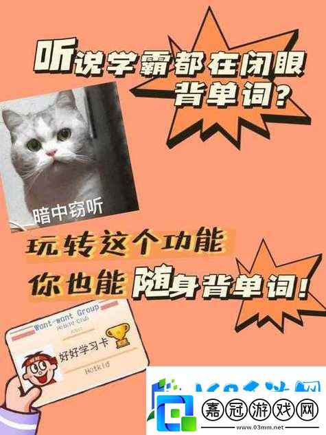 在知識的海洋中