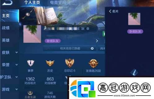 王者榮耀臥底隊友什么意思