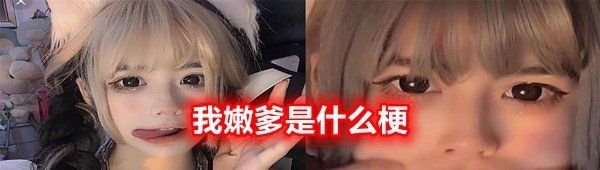 我嫩爹是什么意思