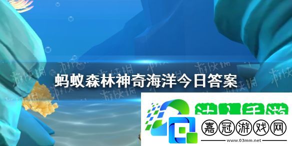 以下哪種海洋生物看起來就像是海底綻放的煙花-神奇海洋12月28日答案