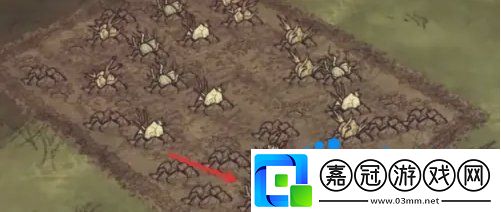 饑荒蜘蛛人怎么種地