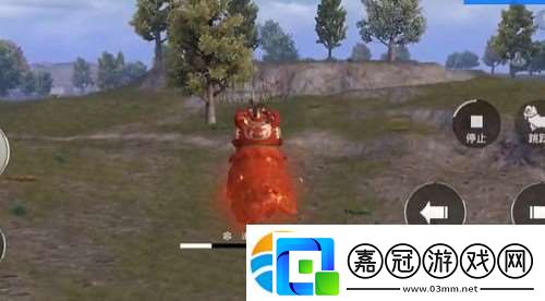 和平精英醒獅載具怎么獲得-和平精英醒獅載具獲得方法