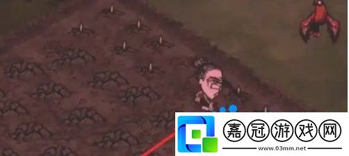 饑荒蜘蛛人怎么種地