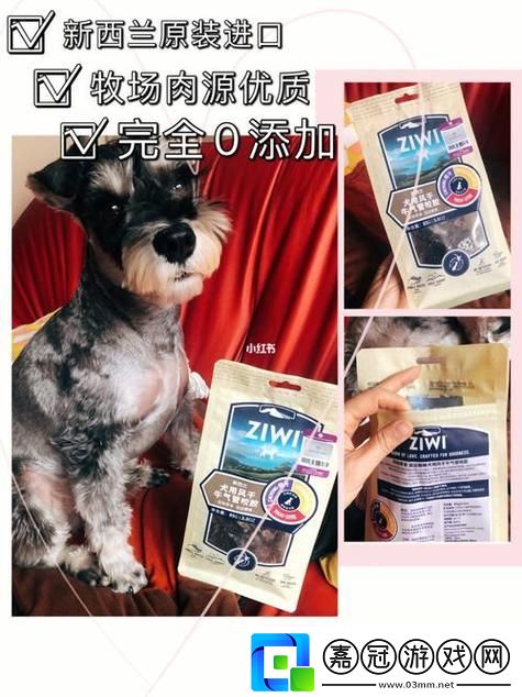美國人與動物膠配方大全更新了-平臺：探索新材料的藝術