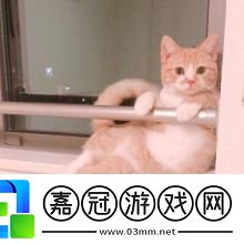 淘寶2021年貨節是什么時候