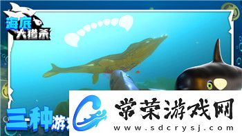 飄流幻境帝國羅卡轉生丹的神秘力量與奇幻冒險探秘
