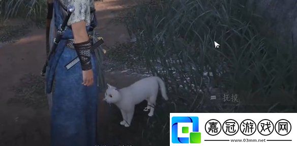 燕云十六聲七閥坡貓咪在哪燕云十六聲七閥坡貓戲全收集攻略