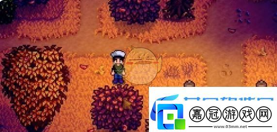 星露谷物語(yǔ)秘密紙條21獲取方法
