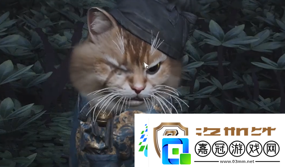 燕云十六聲七閥坡貓咪在哪燕云十六聲七閥坡貓戲全收集攻略