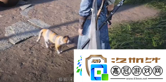 燕云十六聲七閥坡貓咪在哪燕云十六聲七閥坡貓戲全收集攻略