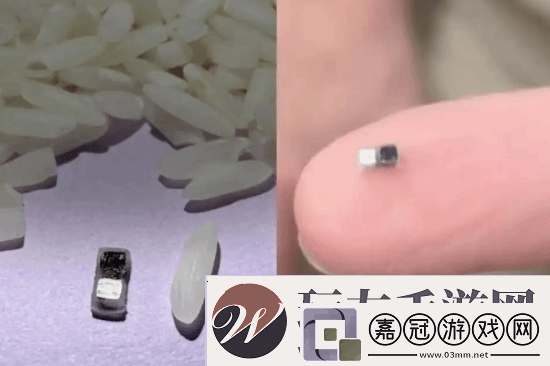 世界最小心臟起搏器問世