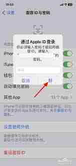 蘋果商店怎么人臉識別登錄