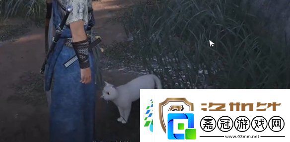 燕云十六聲七閥坡貓咪在哪燕云十六聲七閥坡貓戲全收集攻略