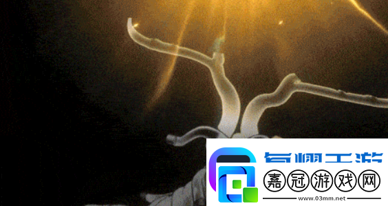 新月同行洞明強度介紹