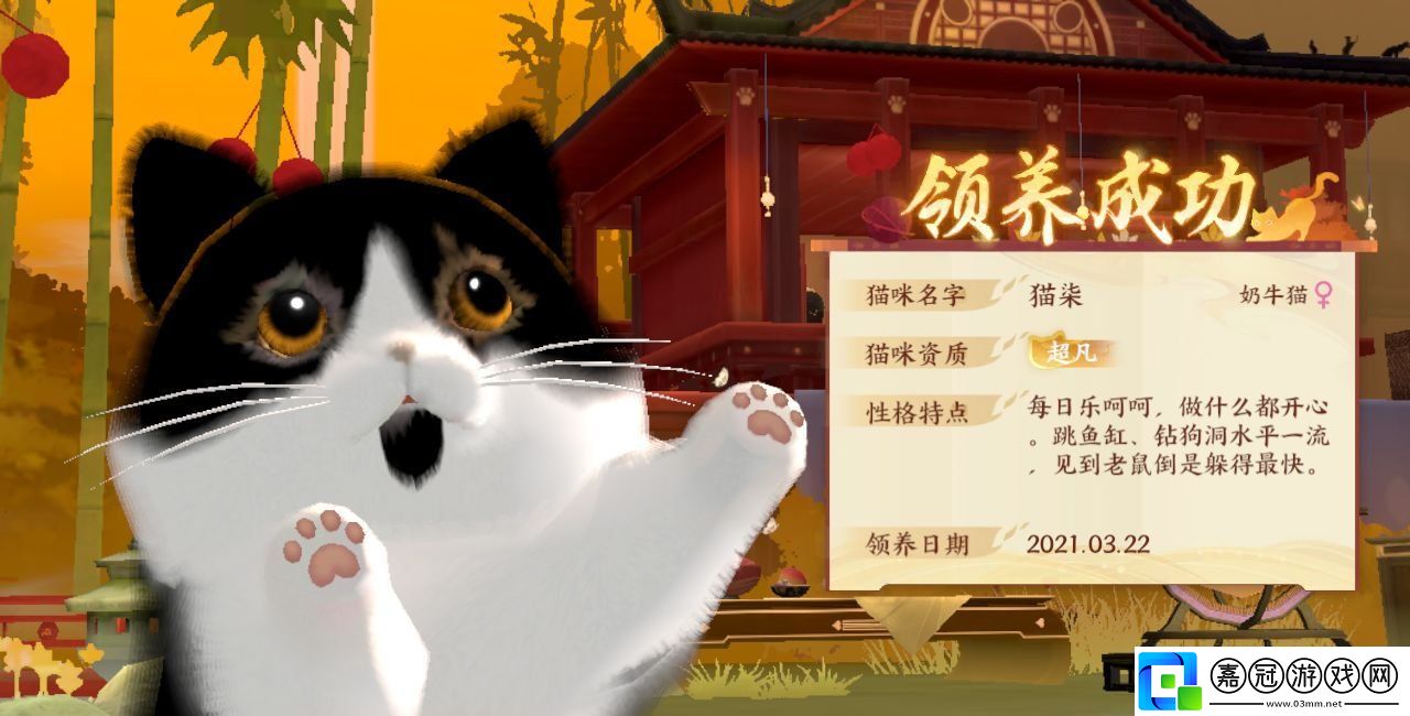 忘川風(fēng)華錄怎么答題才能獲得奶牛貓