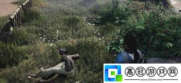 燕云十六聲舊日梨花任務怎么做