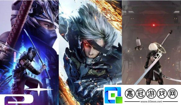 近日據報道白金工作室除了正在主導開發忍者龍劍傳4-NINJA-GAIDEN-4還在開發一個新的在線動作游戲