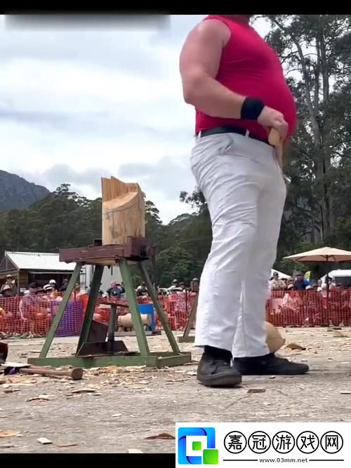 砍樹大賽即將開啟預約砍樹第一名暢享休閑時光！