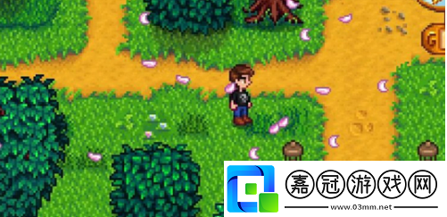 星露谷物語仙子花園任務怎么做